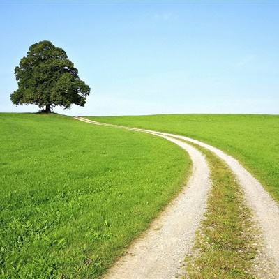 海星体育app下载ios截图