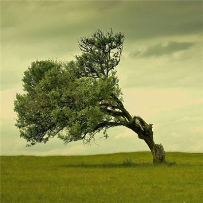 b体育手机版官网最新版本下载手机app下载截图