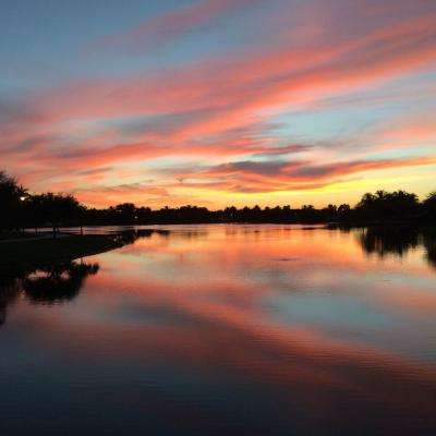 im电竞平台下载手机版