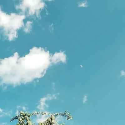 江南JNTY官网下载